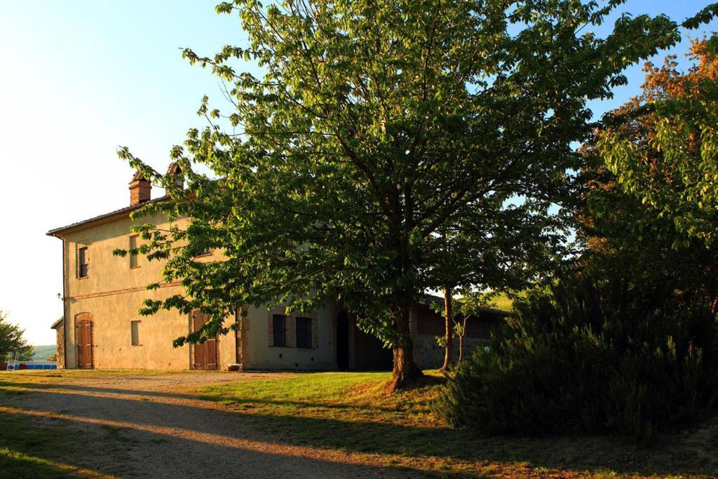 Tenuta Di Corbara Room photo